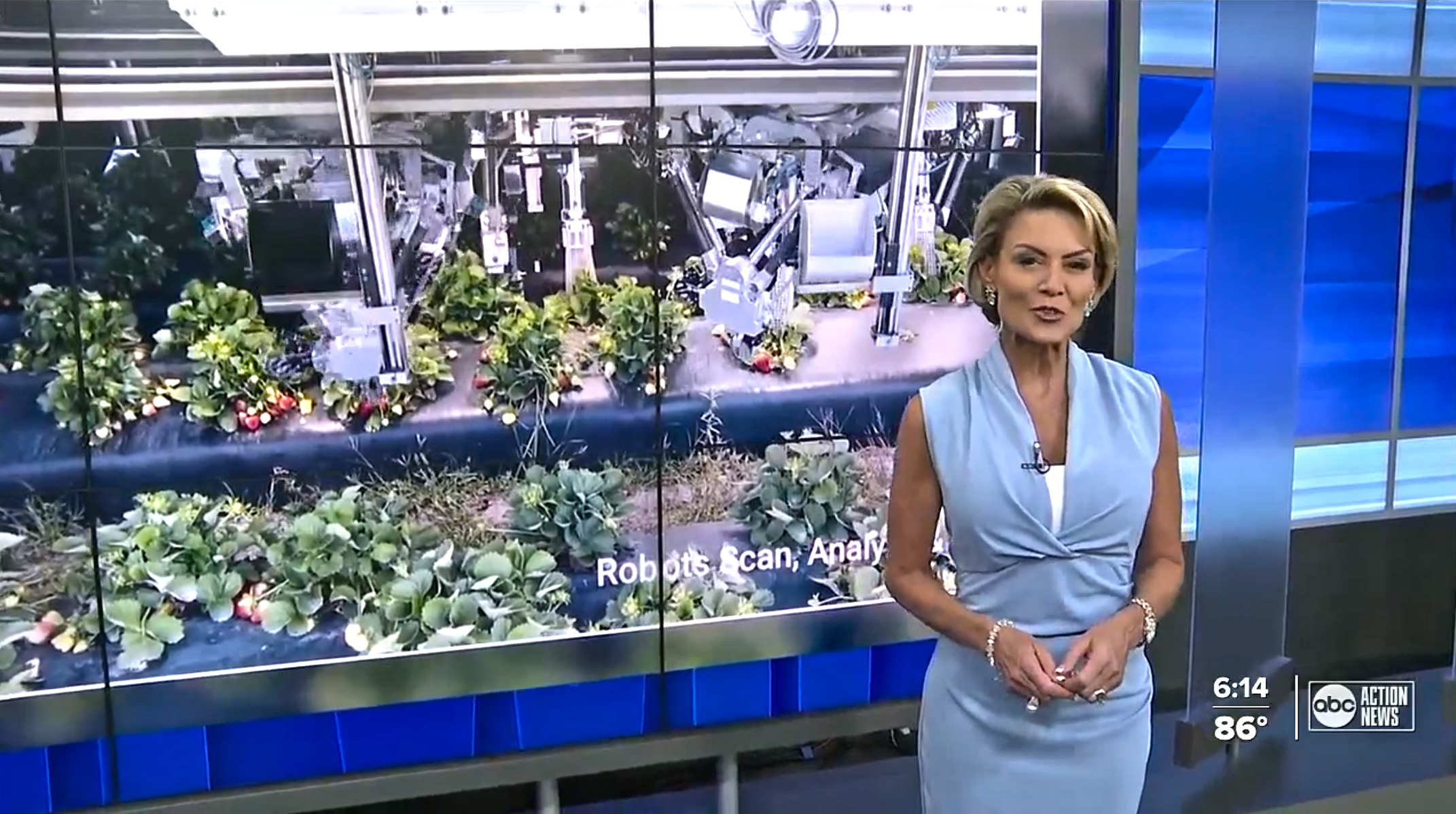 ABC News (May 2025)